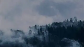stillness   Dark Ambient