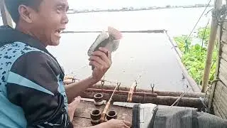 Mancing cirata terbaru spot cioray palumbon #mancingcirataterbaru 