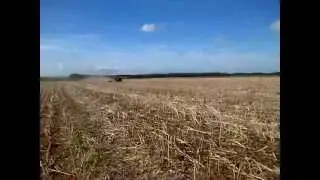 Case 1455 et broyeur Gyrax au colza