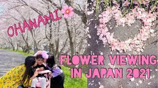 How to Enjoy Flower Viewing during Sakura Season | Ohanami in Japan 2021 花見 [4Khdr]