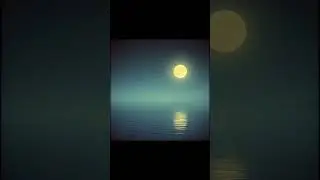 Moonlit Serenade