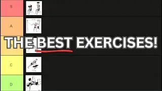 Exercise Selection: THE BEST EXERCISES!