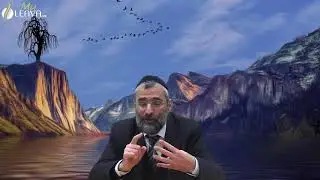 La confiance en soi ou en Hachem ? Rav Ron CHAYA