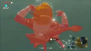 WilNF - The Legend of Zelda: Breath of the Wild Glitches and Funny Moments - Episode 1