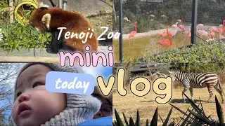 ĐI SỞ THÚ MÙA ĐÔNG | NHÀ TÔM CÁ