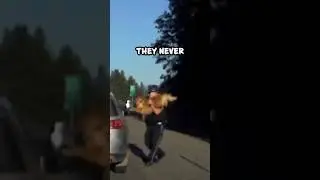 Incredible Moment: Trooper Catches Dog Mid-Leap during Traffic Stop! 😂 #shorts