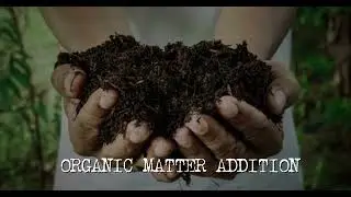 Soil management practices for adoption, Jairieyne john saint M Palenzuela, BSES 4A