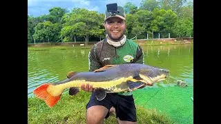 TAMBA DE 23UP, MUITA PIRARARA NA LINHA, NOTURNA E MUITO MAIS!!! ISSO &Eacute; SANTA RITA GIGANTES!!!