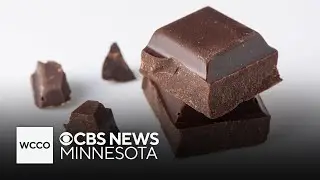 Why is there a National Chocolate Day (as opposed to 365 of them)?