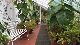 What's inside this small British green house?