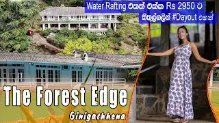 Best day outing & Honeymoon  place near to Kithulgala | Forest Edge Hotel - Ginigathhena