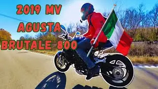 MV Agusta Brutale 800 (2019) &ndash; Итальянский зверь на свободе