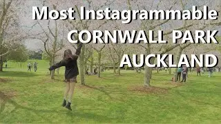 Most photographed places| Cornwall Park| Cherry Blossom| One Tree Hill |  Auckland| I walk for you