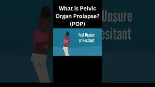 Understanding Pelvic Organ Prolapse