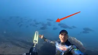 Aventura Sub Uma Viagem às Águas Profundas Peixes e Retrospectiva 