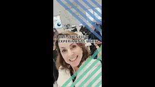 Series of scientific experiments on out-of-body experiences