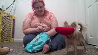 July pet treater wooo! happy puppy