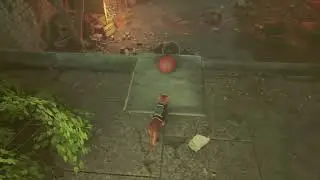 Stray Cat Play Basketball Boom Chat Kalaka Trophy Guide PS5
