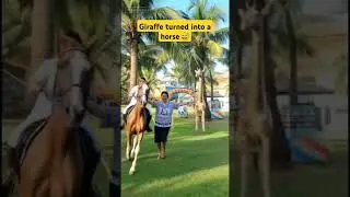 Magical horse #amazingeffects #horse#statueanimals