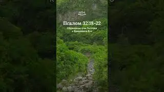 Псалом 32:18-22 &mdash; Поддержка для тех, кто боится Господа #Надежда #Вера