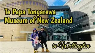 Te Papa Tongarewa | Museum of New Zealand in Wellington