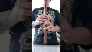 Sound sample of 3D printed Native American style flute in key f#..made by Reza of pyntech Flutes
