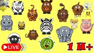 The Animal Sounds Song 🎵 | 1 Hour of Interactive, creative Animal Sounds for Kids | EduFam Live ~