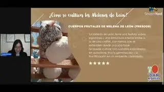 PRODUCTOS DXN ARGENTINA  &iexcl;BENEFICIOS INCREIBLES DE LA MELENA DE LEON! - Caf&eacute; con (LIONS Mane)