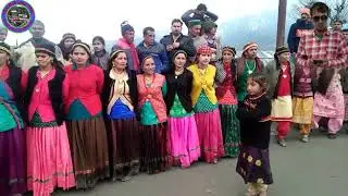 Super Dans Shadi Me. Bhatkal. Paban. H. P.