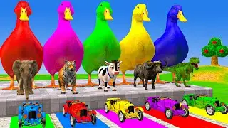 Long Slide Game With Cow Elephant Gorilla Hippopotamus Tiger - 3d Animal Game - Funny 3d Animals