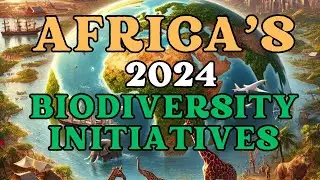 Africa's 2024 Biodiversity Initiatives #africa #biodiversity #indiaafricamaitri