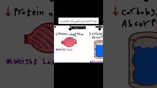 Malabsorption and its effects on the body