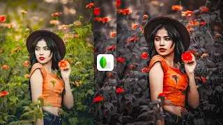 Snapseed photo editing background dark black | New Snapseed blue & Black Tone Photo Editing |