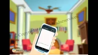 Flash Animation