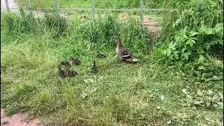 4 January 2025