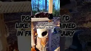 Якобы 