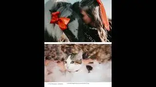 Holiday Pets | January 2025 | The Photograp[her] Magazine | Women Photographers