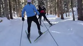 Summit Trail on Grand Mesa