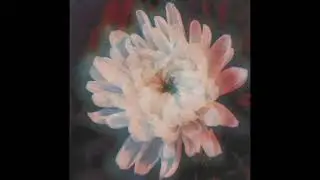K.K. Null &ndash; Absolute Heaven (1993)