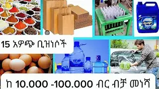 አዋጭ የቢዝነስ ሀሳቦች🔴ከ10.000 ብር ጀምሮ የሚሰሩ ቢዝነሶች🔴ትርፋማ ስራወች Effective Business/Business Plans/Profitable Jobs