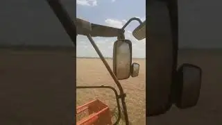 уборка ранних зерновых культур класс 670. и  770 - Наталенко Максим