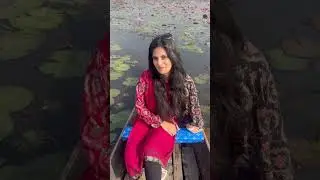 ডিবির হাওর x শাপলা বিল | সিলেট | #afilmbyblack #dibirhaor #shaplabill #sylhet 