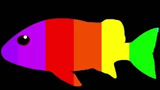 The Rainbow Disco Party Lichts Carebian Fish Sea Life Oceanium 2026