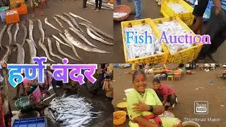 Harnai Fish market| Harnai Beach Dapoli| Harne Bandar| How to Bargain at Fish Market| Huge Fish😲