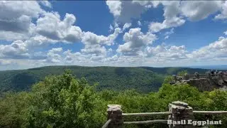 coopers rock and swallow falls one day trip June 2020