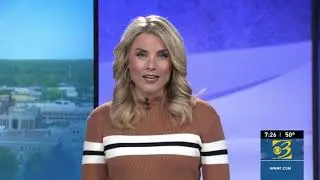 Hannah Knowles, Morning Anchor, Michigan