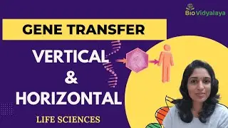 Vertical and Horizontal |Mechanisms of Horizontal Gene Transfer #lifescience  #genetics
