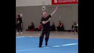 European Traditional Chinese Martial Arts Competition 2019 - Dirk Lehmann (Liu Bagua Zhang)