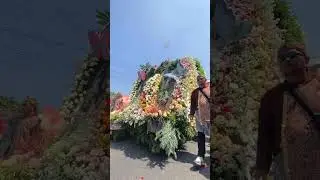 Festival Bunga Bandungan 3 #festival #bunga #bandungan