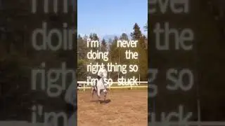 #fun #horse #horseedit #equestrian #horseedits #fry #lifeisbutadream #hevonen #music